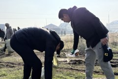 photo_5314694035492508861_y