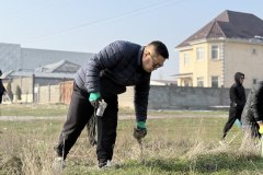 photo_5314694035492508862_y