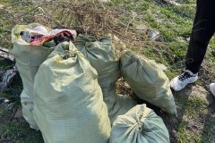 photo_5314694035492508863_y