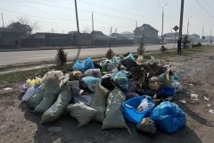 photo_5314694035492508867_y