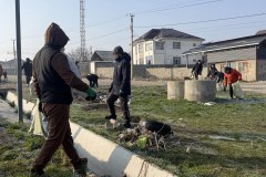 photo_5314694035492508869_y