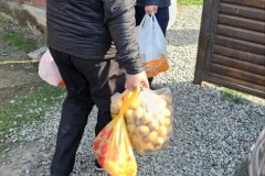 photo_5314694035492509014_y